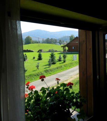 Apartmány Černá Voda - image 14