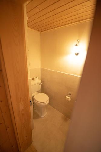 Boutique Hotel Alpenrose - image 2