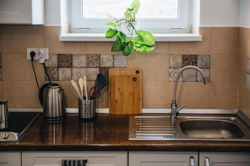 Magas-lak Apartman Eger