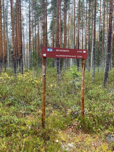 運動及活動, Playa del Finland in 塞伊奈約基