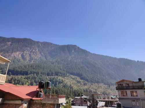 The Destination Manali