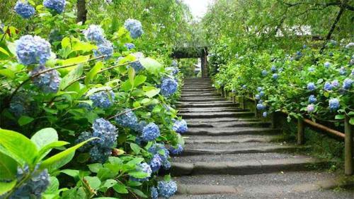 guest house 鎌倉記憶