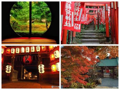 guest house 鎌倉記憶