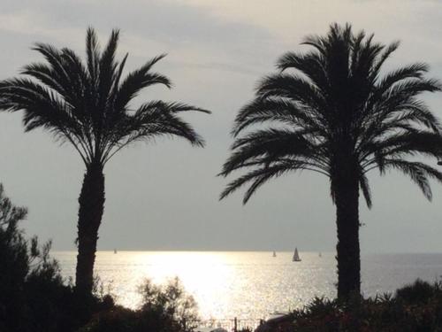 Sanarybeach - Location saisonnière - Sanary-sur-Mer