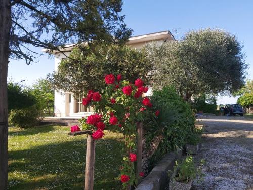 B&B Montegaldella - Da Celeste a Montegaldella -VI - Italia - Bed and Breakfast Montegaldella