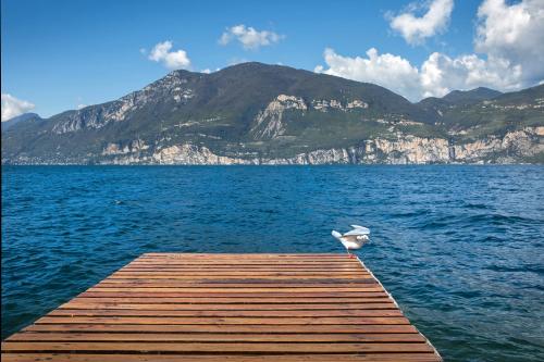 Villa Mimosa-Con piscina e vista lago