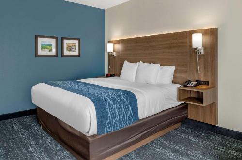 Comfort Inn & Suites Troutville - Roanoke North - Daleville