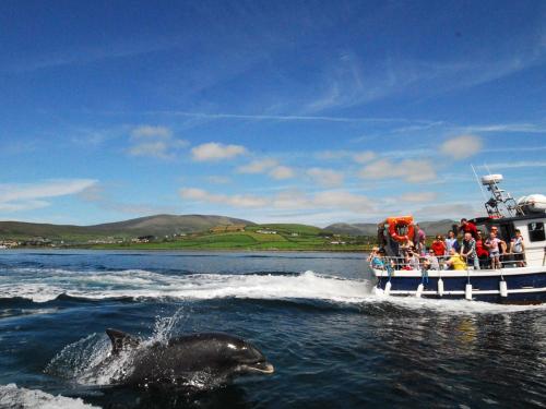 Cois Chnoic Holiday Home Dingle