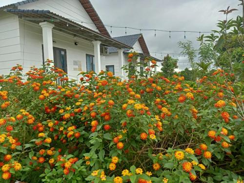 Đoi Co Thom Resort