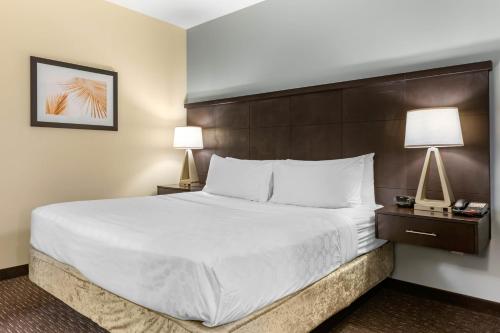 Staybridge Suites St. Petersburg Fl