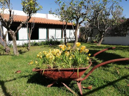  CASA RURAL LIMÓN Y SOL, Pension in Sauzal