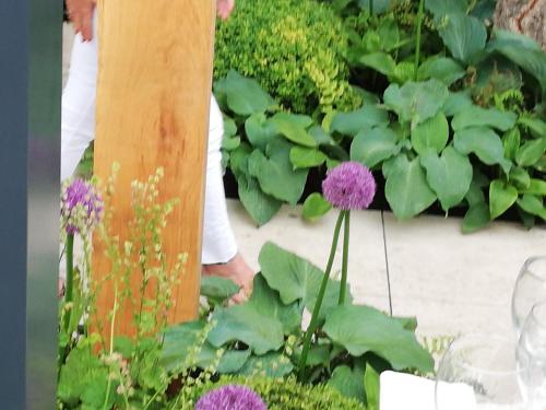 1 bed studio in คาสเซิลแบร์