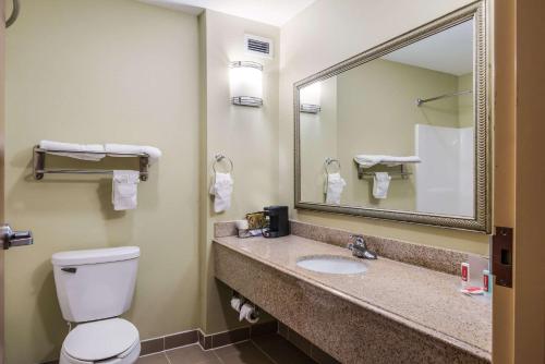 Econo Lodge Inn & Suites Little Rock SW