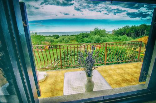 Apartments and rooms with parking space Zambratija Umag - 11875 