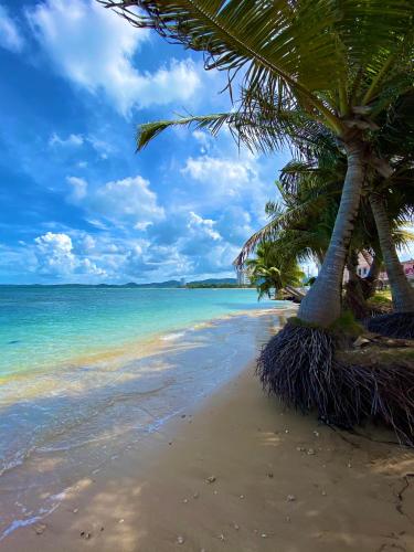 Cozy Beach Apartment in Luquillo