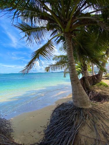 Cozy Beach Apartment in Luquillo