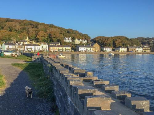 Sea View apartment Porthmadog - image 4