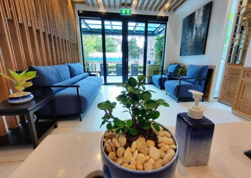Ama's House Luxury Boutique Hotel - 로비