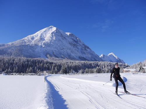 Alpenchalet im Leutaschtal