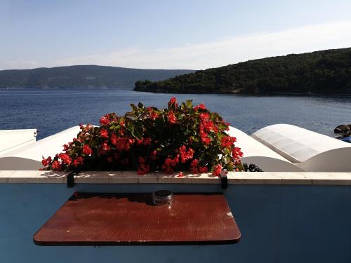 Kilátás, Sobe MaMaLu in Valun