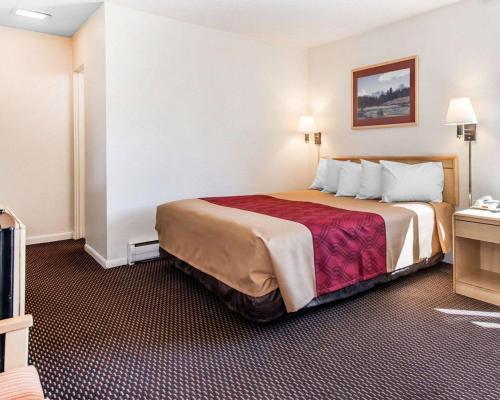 King Room - Non-Smoking image 3