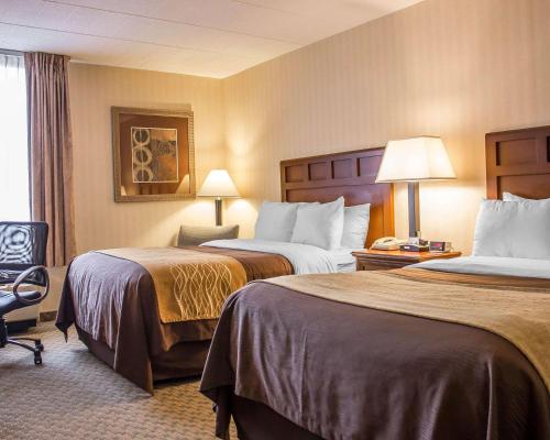 韋瑟斯菲爾德哈特福德舒適酒店 (Comfort Inn Wethersfield - Hartford) in 韋瑟斯菲爾德