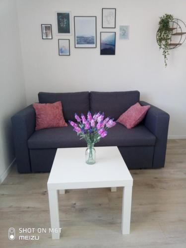 Apartmani Darko - image 8
