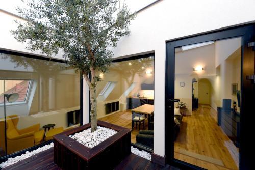 Apartmán s átriom v historickom centre (Apartman s atriom v historickom centre) in Trencin