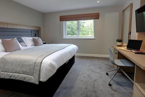 1 king bed