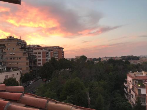 Attico vista San Pietro