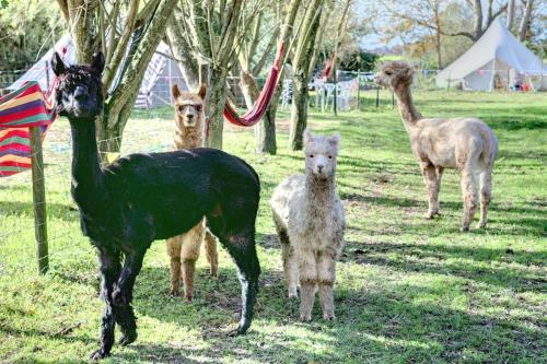 Willow Barn Willow Barn