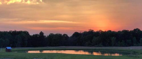 . Purple Skies Homestead