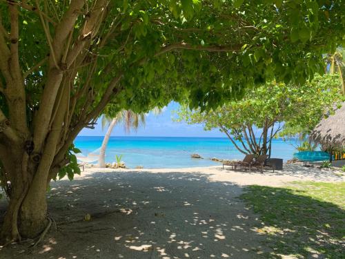 Le Coconut Lodge