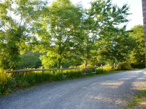 Nantgwynfaen Organic Farm Wales - image 10