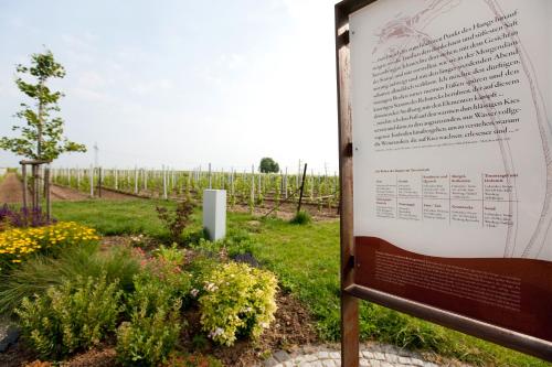 Villa Hochdörfer Gästehaus - image 13