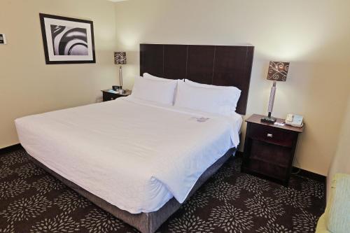 Holiday Inn Express Pittsburgh West - Greentree, an IHG Hotel