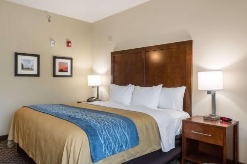 Comfort Inn Edwardsville - St Louis in Edwardsville, USA