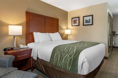 Comfort Inn & Suites Dimondale