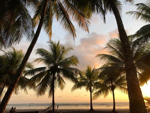 Cerca de lugares turísticos, Cascada Verde Eco Lodge & Hostel in Uvita