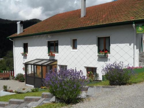 Gîte La Bresse, 4 pièces, 7 personnes - FR-1-589-136 gîte à louer Wildenstein