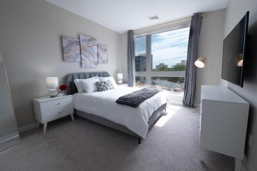 1 queen bed, 1 sofa bed