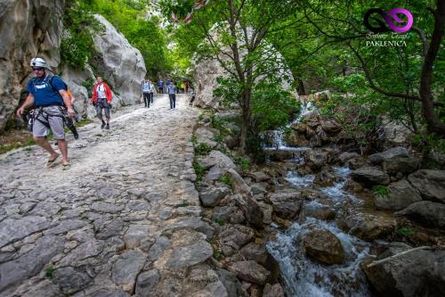  Apartments Ante in Starigrad-Paklenica