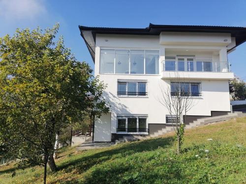 Deluxe Villa image 2