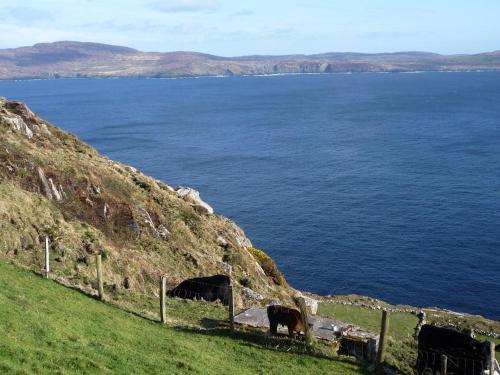 Lakeside Lodge Bantry - image 7