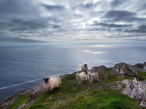 Sea View Holiday Home Sheeps HeadBantry