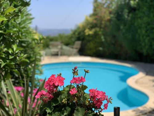 Villa Vigla - image 4