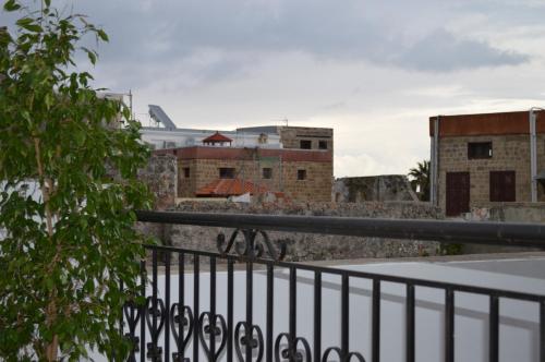 Summer Knights - image 6