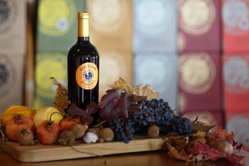 Tenuta Santomè - image 5