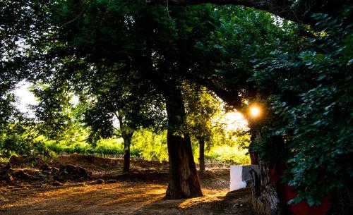 Casa Rural Finca Buytrón