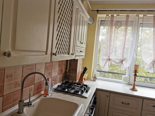 ห้องครัว, Chic Apartment in บราอิลา